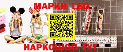 ПСИЛОЦИБИНОВЫЕ ГРИБЫ Краснодар