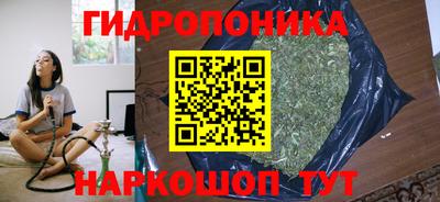 ПСИЛОЦИБИНОВЫЕ ГРИБЫ Краснодар